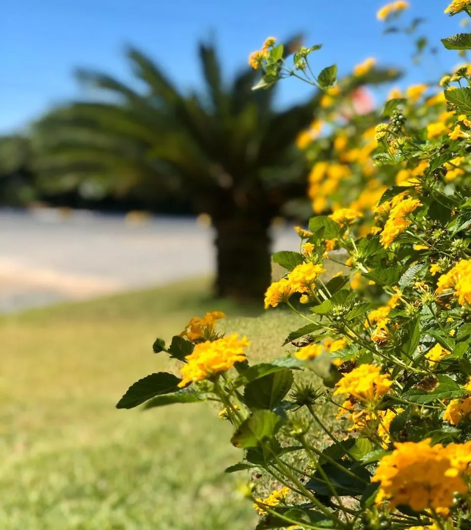 فندق ريسيرفا برايا Balneário Camboriú