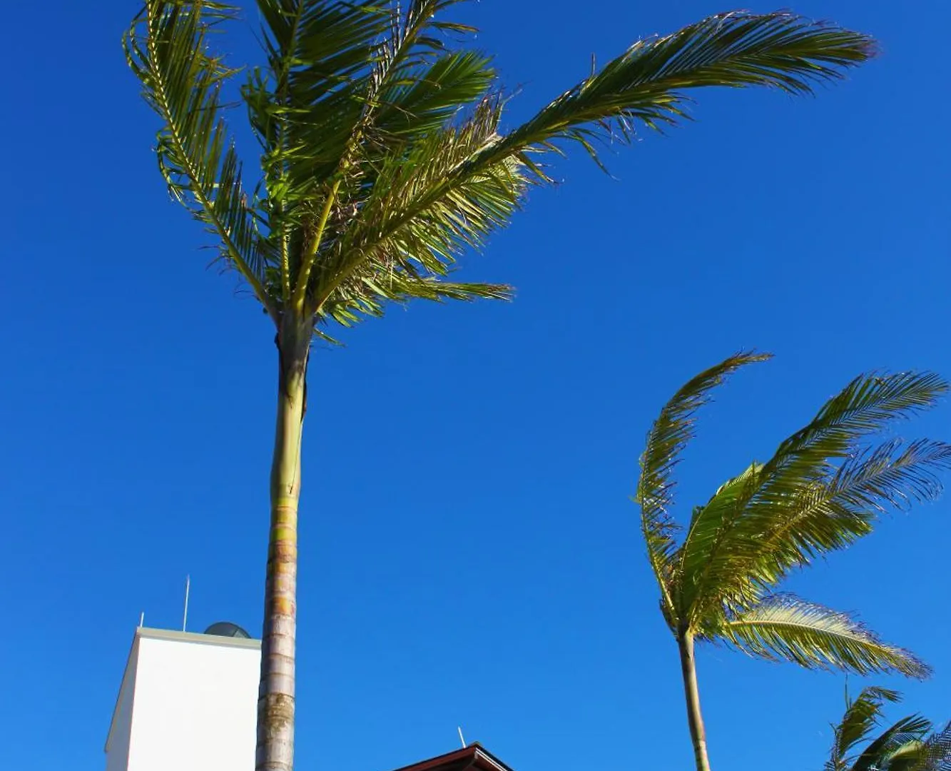 فندق ريسيرفا برايا Balneário Camboriú